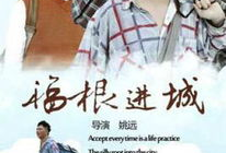 福根进城电视剧,农村青年奋斗记