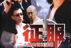 征服电视剧全集,权谋与爱情的巅峰对决